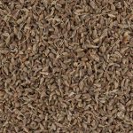 60861-anis-grains